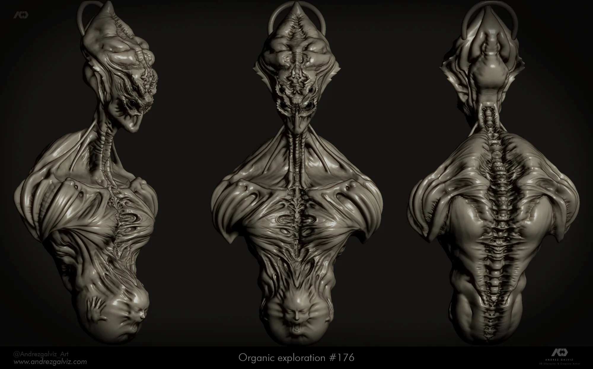 Organic Exploration #176